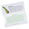 View Image 2 of 2 of Matchbook Seed Packet - Zucchini