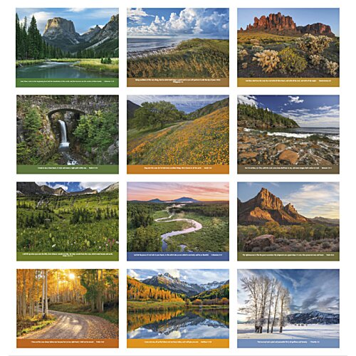 Additional Image 1 - a collage of a group of images