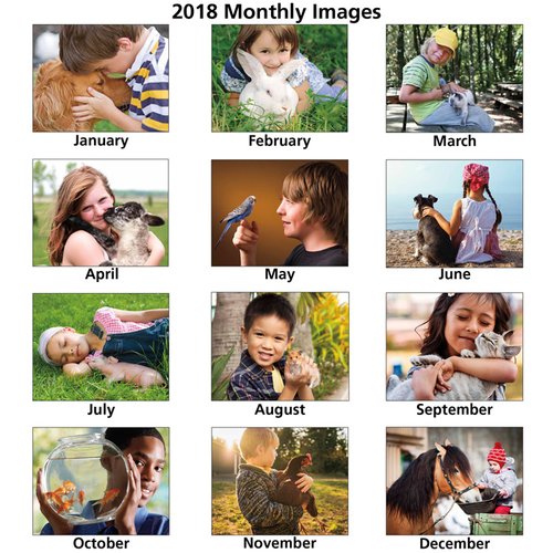 Additional Image 1 - a collage of pictures of people
