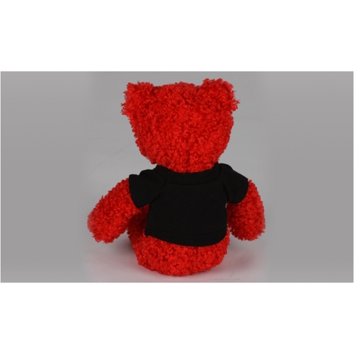 Additional Image 1 - a red teddy bear with black shirt