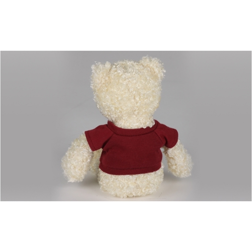 Additional Image 1 - a white teddy bear wearing a red shirt