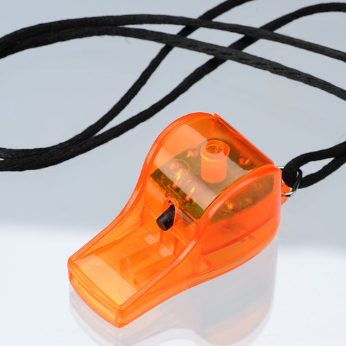Additional Image 3 - a whistle with a black cord