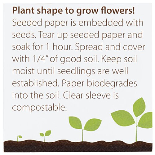 Additional Image 2 - a close up of a plant