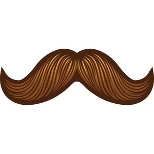Additional Image 2 - a brown mustache on a white background