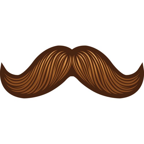 Additional Image 2 - a brown mustache on a white background