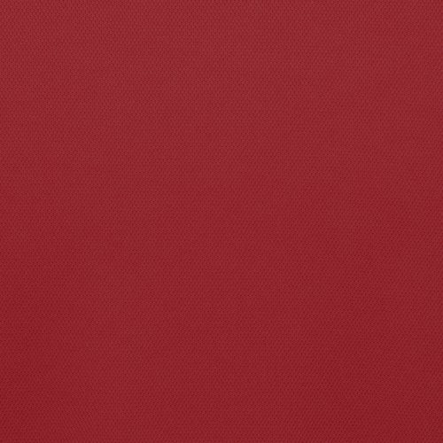 Additional Image 1 - a red surface with a white stripe