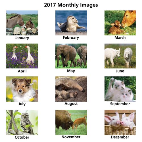 Additional Image 1 - a collage of pictures