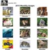 View Image 3 of 3 of Farmer's Almanac 2015 Calendar-Baby Animals-Stapled-Closeout