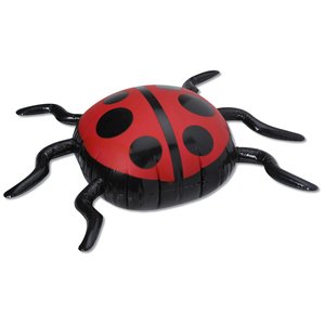 Additional Image 1 - a red and black ladybug