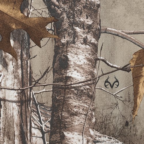 Additional Image 2 - a close up of a tree trunk