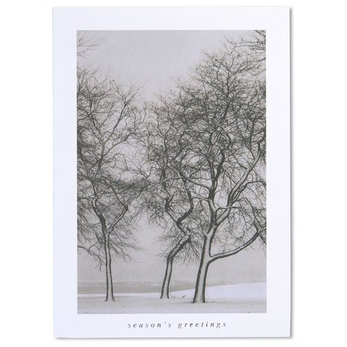 Additional Image 2 - a picture of trees in the snow