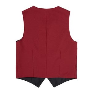 Additional Image 1 - a red vest with black straps