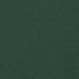 Additional Image 2 - a green wall with a white stripe