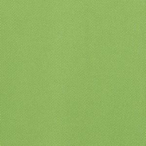 Additional Image 1 - a green wall with a white stripe