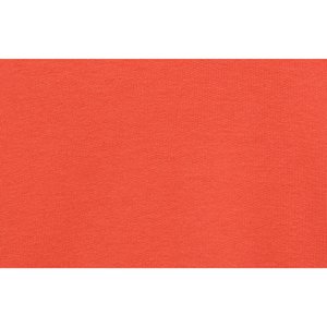 Additional Image 2 - a red rectangular object with white border