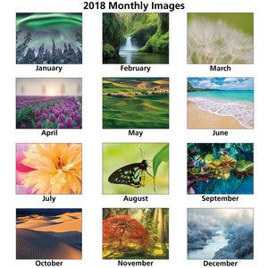 Additional Image 1 - a collage of different colors