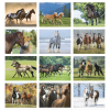 View Image 2 of 3 of Horses Calendar