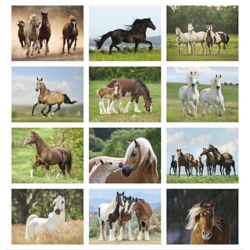 Additional Image 1 - a collage of horses