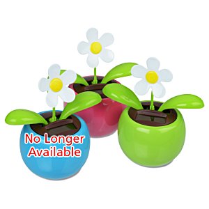 Additional Image 2 - a group of small potted plants