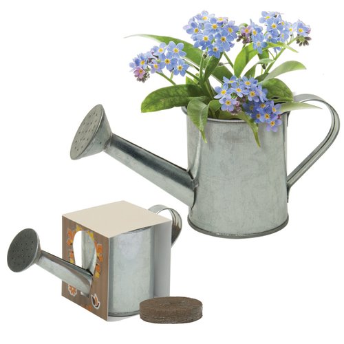 Additional Image 1 - a watering can and a watering can
