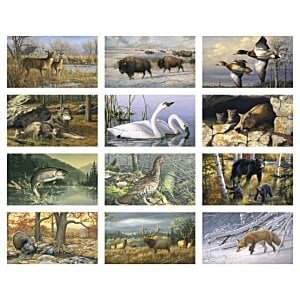 Additional Image 1 - a collage of images of animals