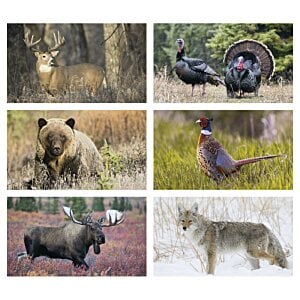 Additional Image 1 - a collage of different animals