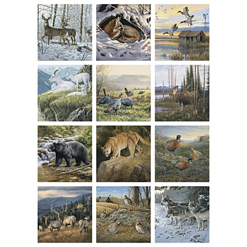 Additional Image 1 - a collage of different images