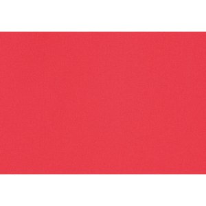 Additional Image 2 - a red rectangular object with white border