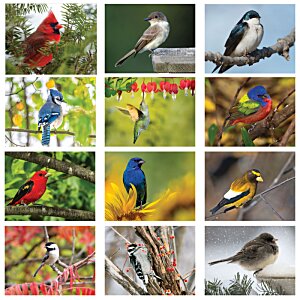 Additional Image 1 - a collage of birds
