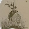 View Image 3 of 3 of DRI DUCK Elk Cap