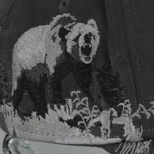 Additional Image 2 - a black and white photo of a bear