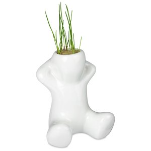 Additional Image 1 - a white plant in a vase