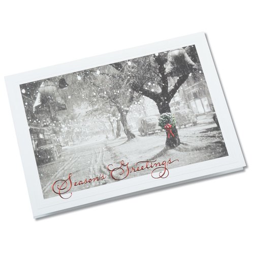 Additional Image 2 - a picture of a tree