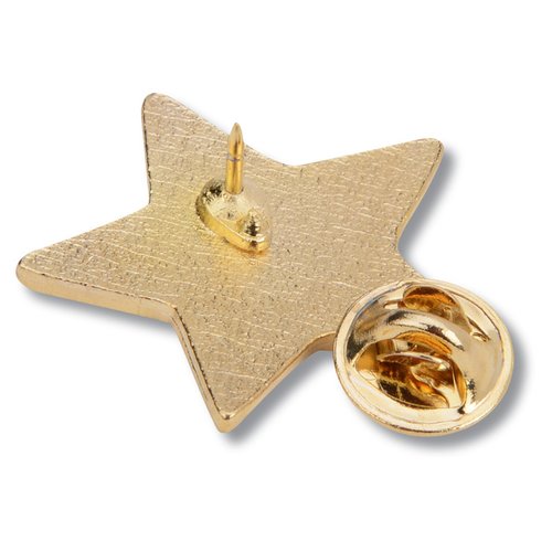 Additional Image 1 - a star shaped pin with a gold object in the middle
