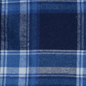 Additional Image 2 - a blue plaid flannel with white stripes