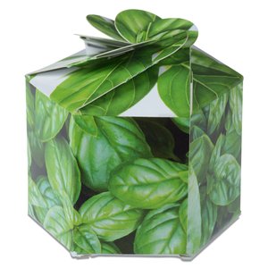 Additional Image 3 - a cube with leaves on it