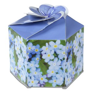 Additional Image 3 - a blue box with a bow