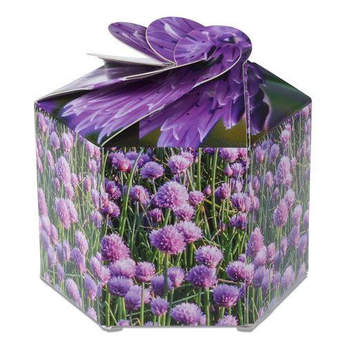 Additional Image 2 - a box with a purple bow