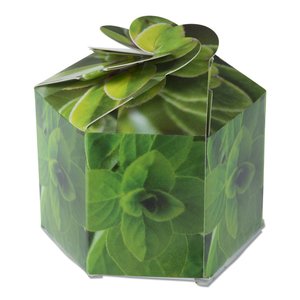 Additional Image 3 - a green box with a bow