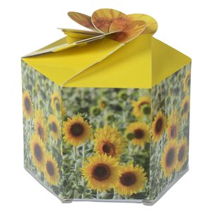 Additional Image 3 - a yellow box with a yellow bow