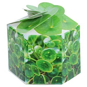 Additional Image 1 - a green cube with a bow