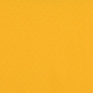 Additional Image 3 - a yellow surface with a black stripe