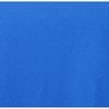 Additional Image 1 - a blue background with white text