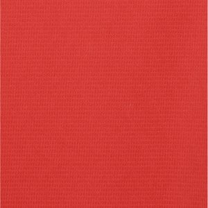 Additional Image 1 - a red wall with a white stripe