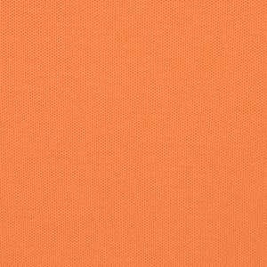 Additional Image 2 - an orange surface with a black spot