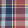 a red and blue plaid
