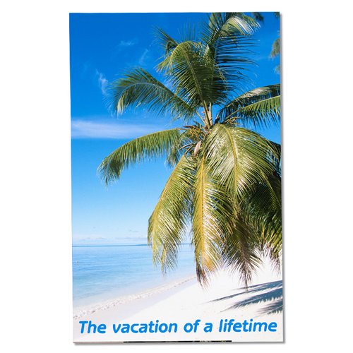 Additional Image 2 - a palm tree on a beach