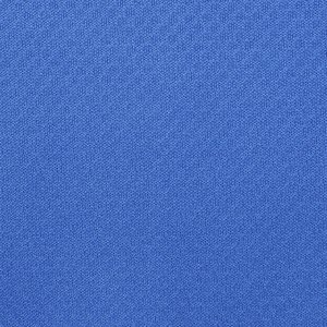 Additional Image 2 - a blue surface with white clouds