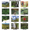 View Image 2 of 2 of Puerto Rico's National Forest Calendar - Spiral