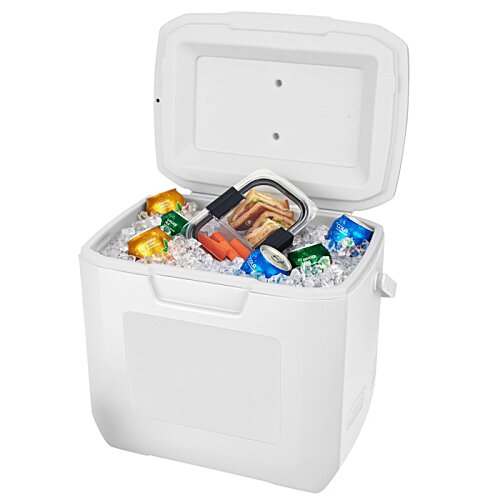 Additional Image 1 - a black cooler with a white lid